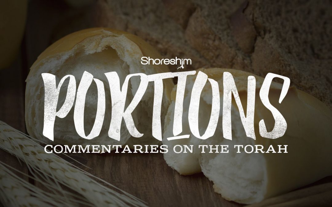 Torah Portion: Shemot (Shemot 1:1 – 6:1)