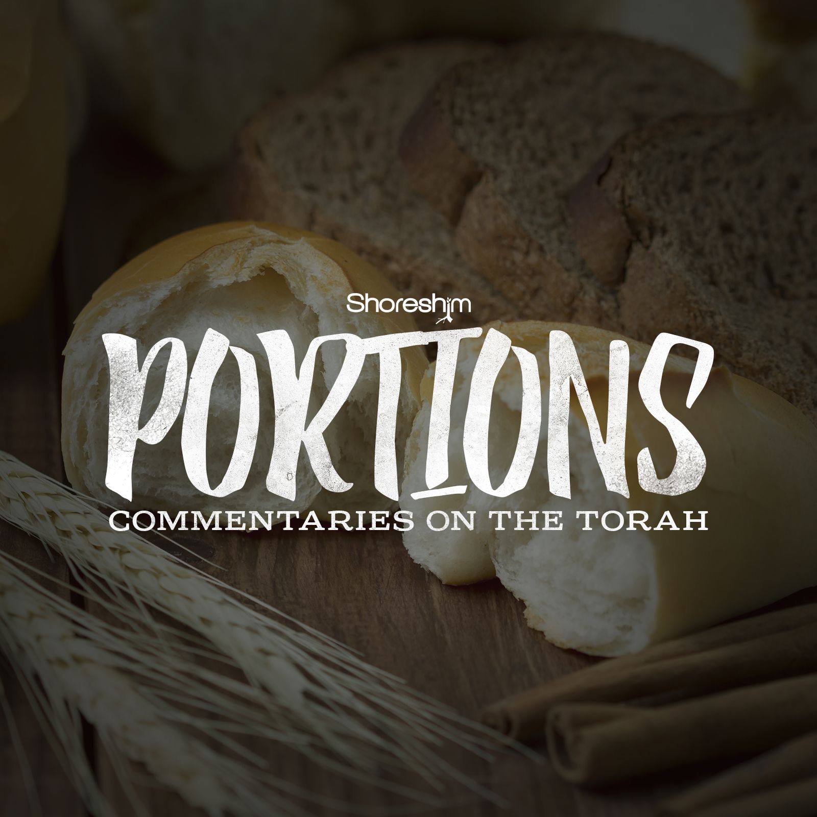 Torah Portion: B’midbar (B’midbar 1:1-4:20)