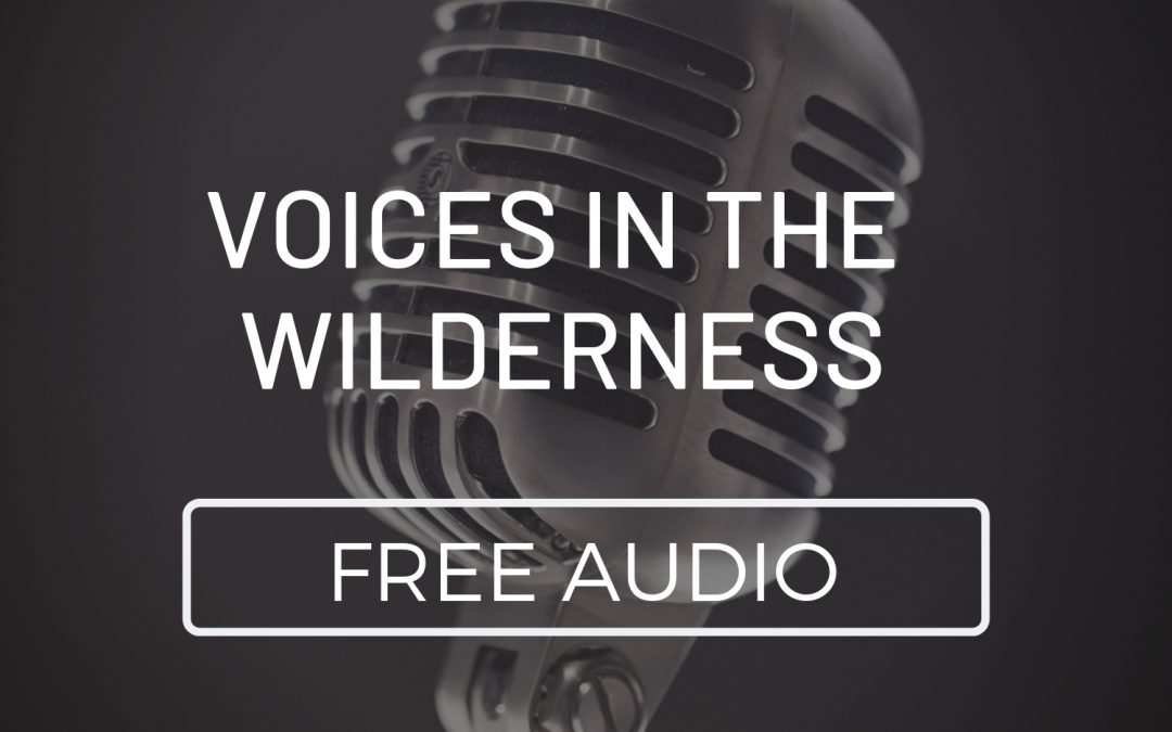 Voices in the Wilderness