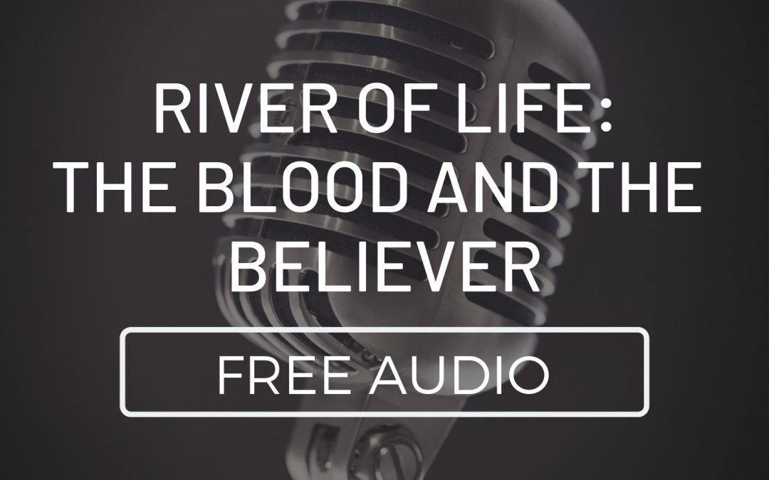 River of Life: The Blood and the Believer