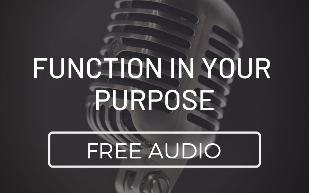 Function in Your Purpose